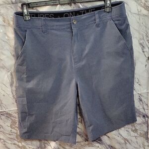 Gerry Weber Men's Blue Flat Front Shorts, Size 34.   (318)